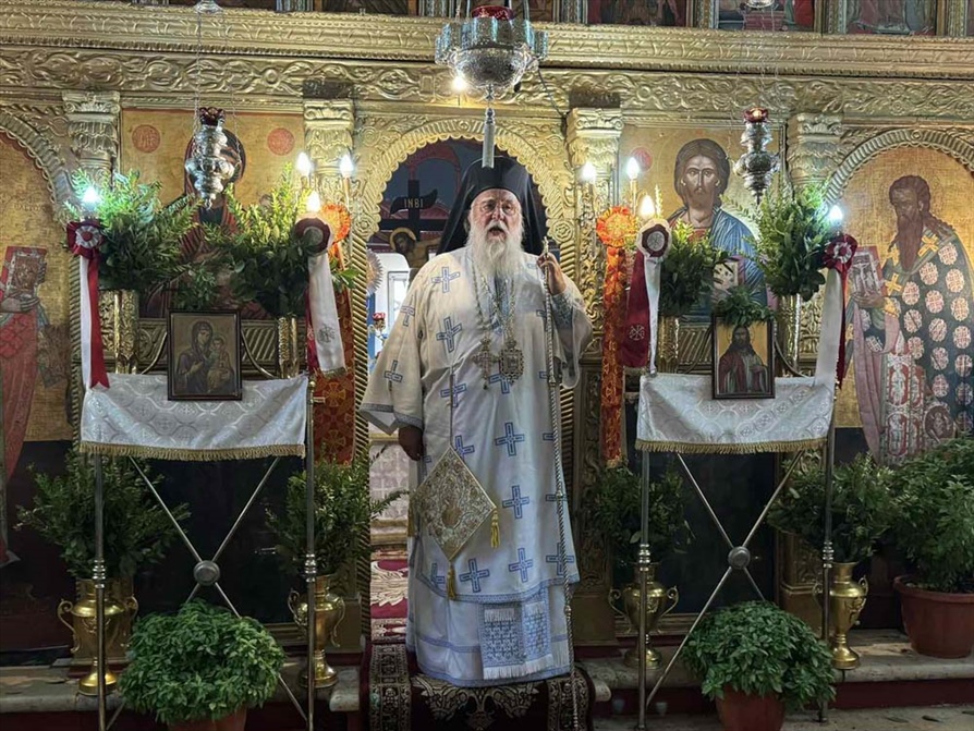 deltio typou 23.8 02