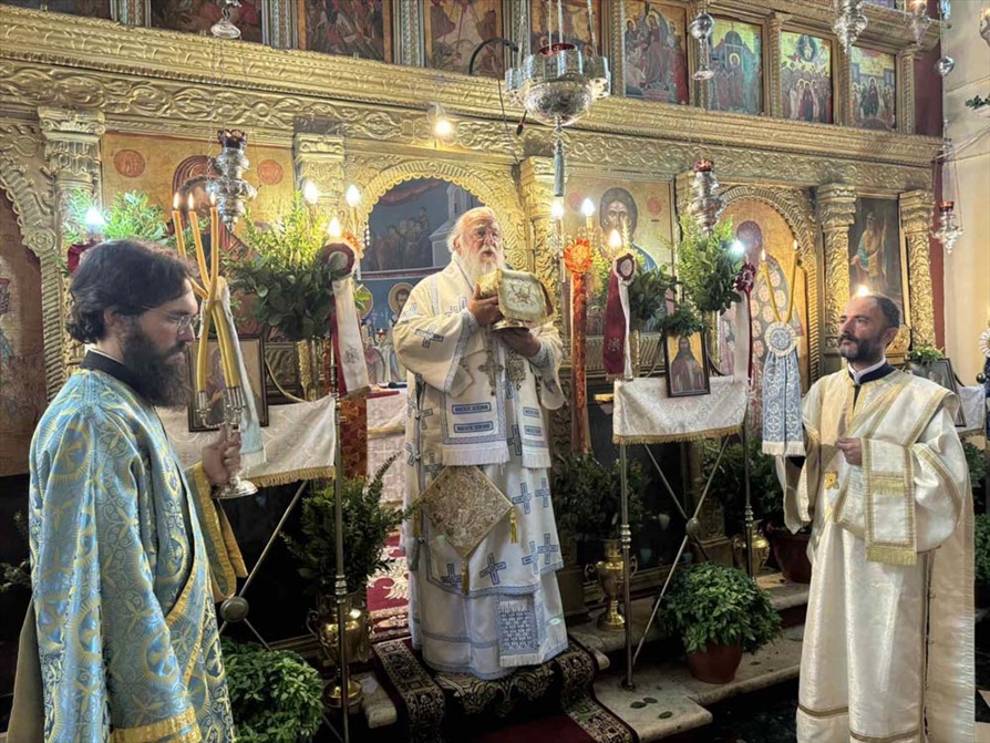 deltio typou 23.8 03