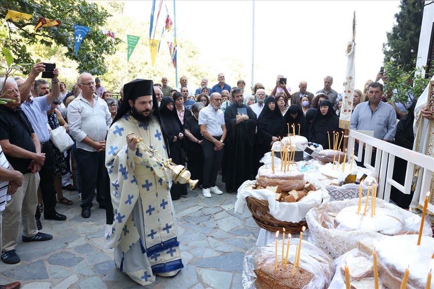 Fokidos I.M.Ampelakiou2024 6306