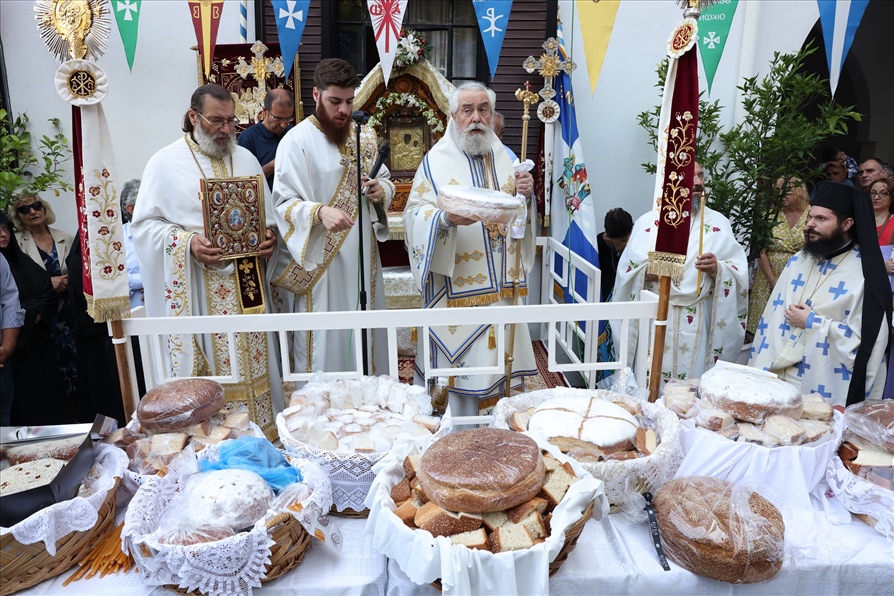 Fokidos I.M.Ampelakiou2024 6318