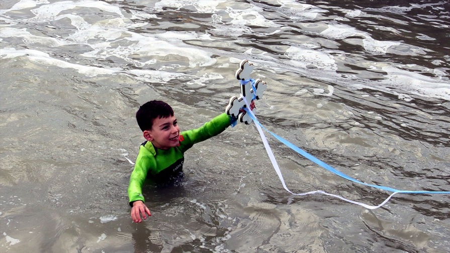 52619996279 29381316a3 b