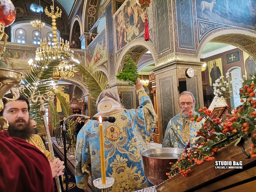 135813412 1464721667057116 6980544266875525452 n