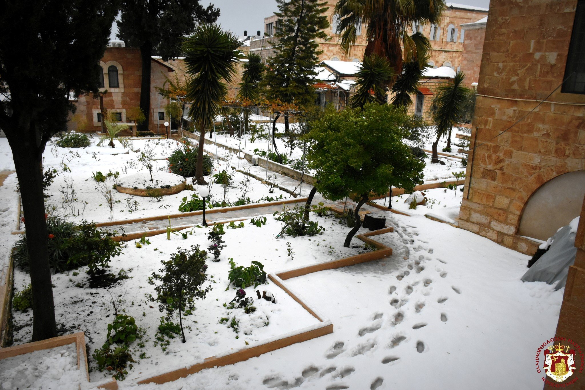 272686704 10160866705559796 2827068858423615889 n