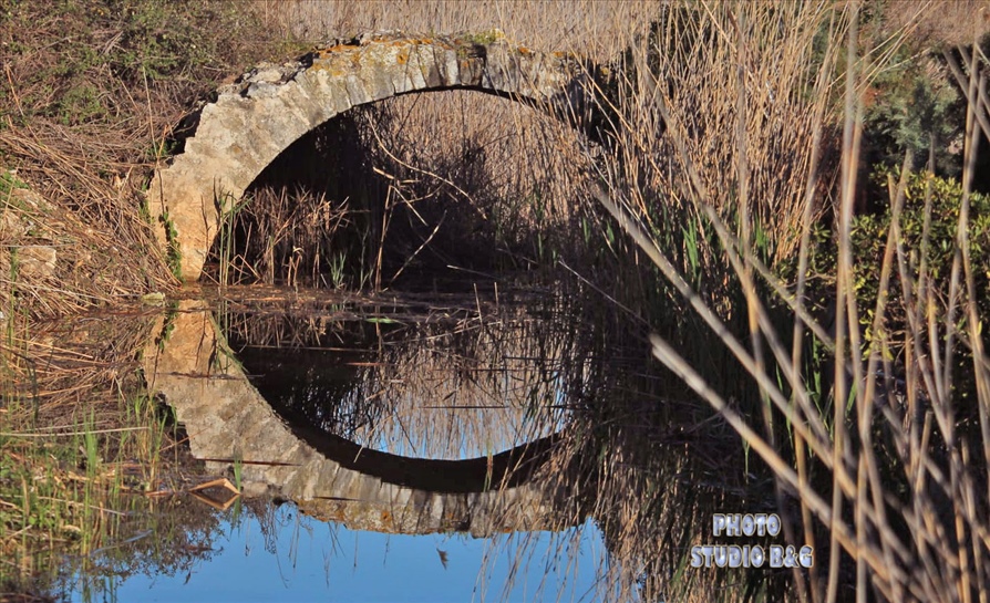 150075284 10219458101026022 3190310670790797825 R