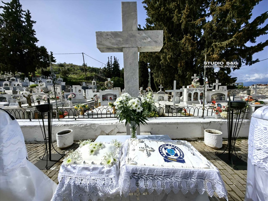 IMG 20240309 110640