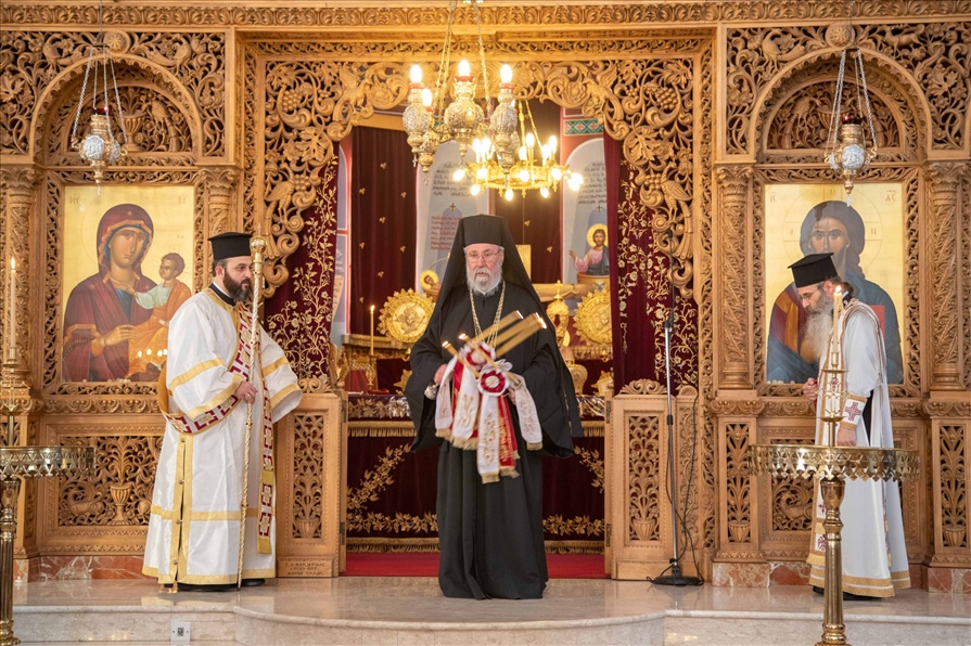 A31I4558 scaled copy