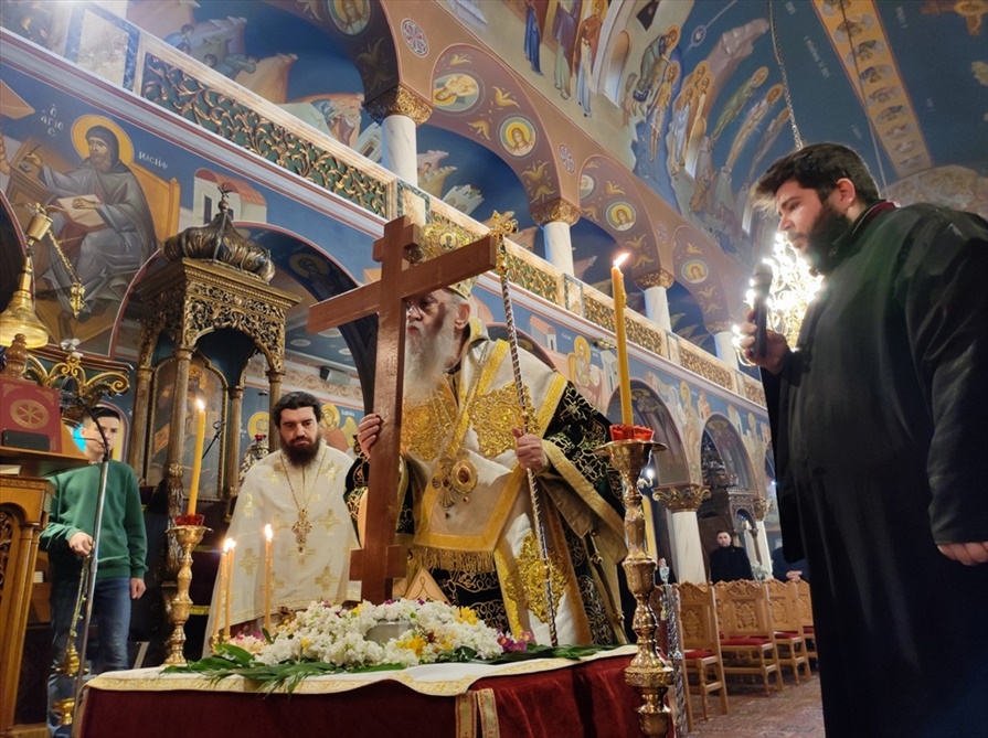 leitoyrgia aitoliko 15