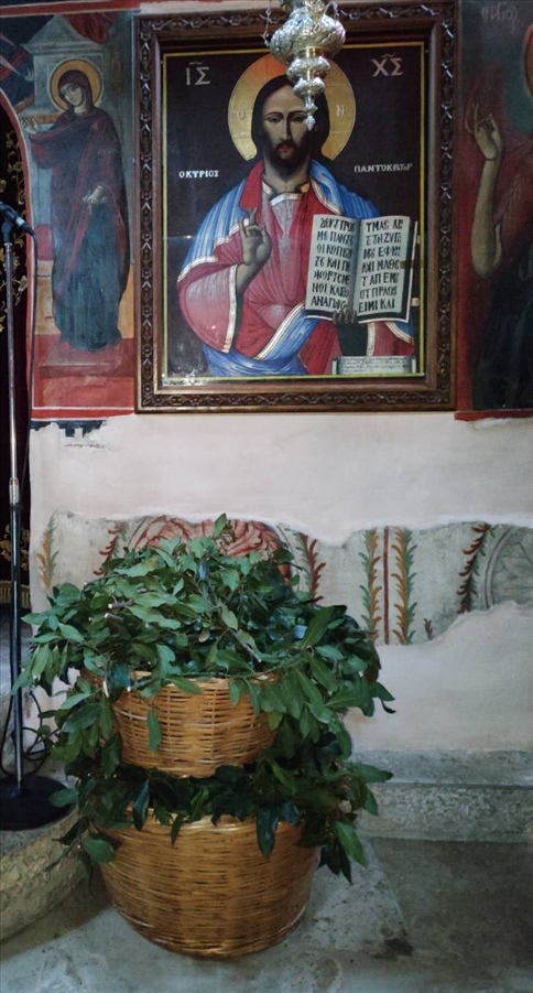 IMG bcb9226880e511c4159c68307bac7608 V