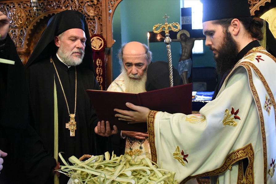 177321145 10160296389859796 3401644442063643075 n