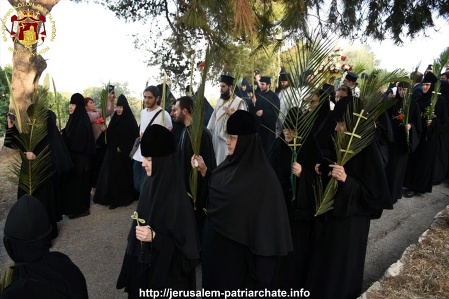 177565174 10160296385664796 3717313513703883967 n