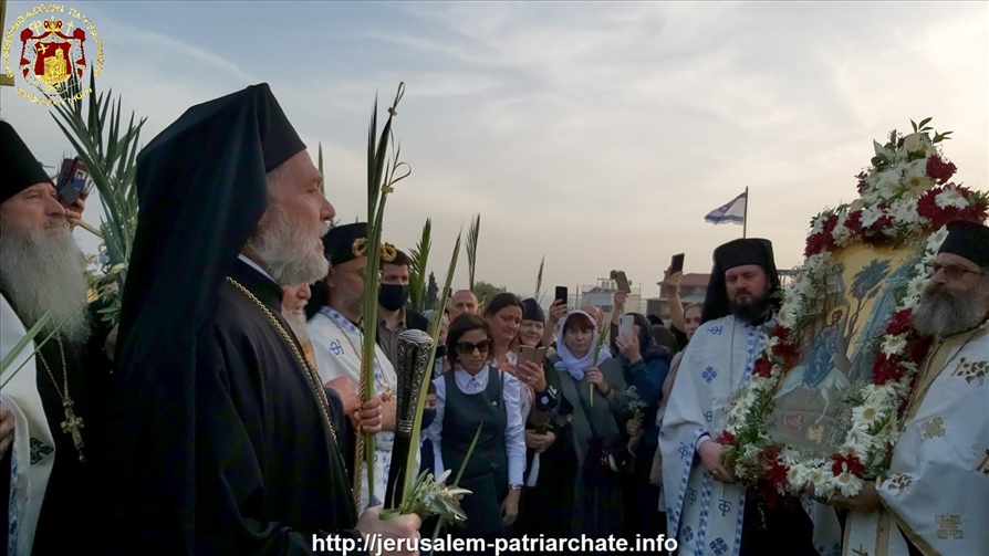 177829303 10160296700439796 2890676538233017678 n