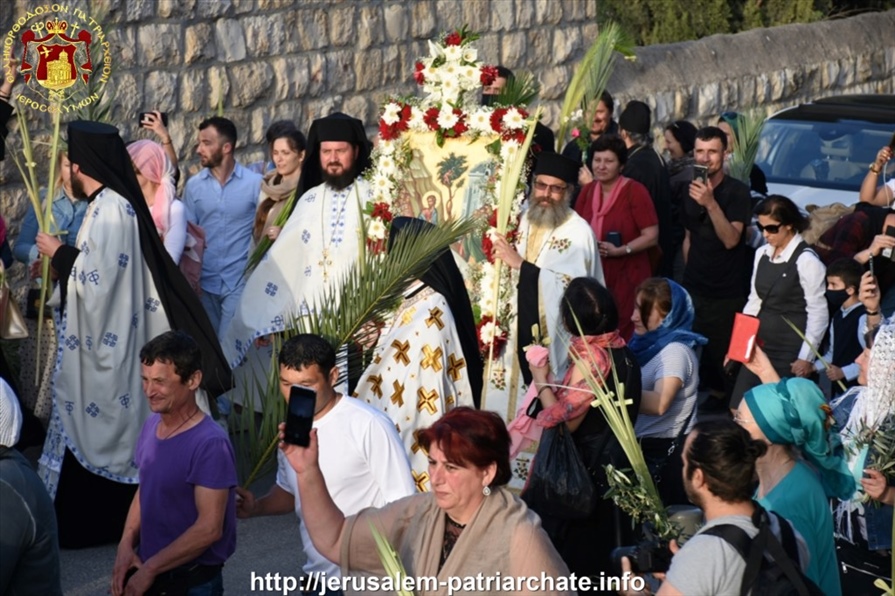 177993903 10160296700774796 3535700005299080367 n