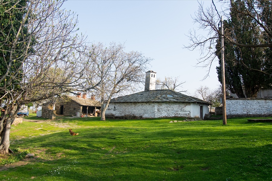 tekes tis roussas 13 1481882978