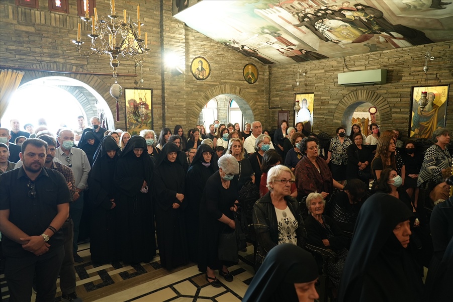 005 Exodios Paisia 3845