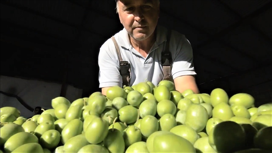 8.ΓΙΑΝΝΗΣ ΣΤΗΝ ΣΥΓΚΟΜΙΔΗ copy