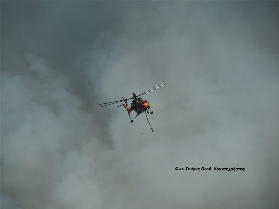 Φωτ. Σπύρος Θεοδ. Κουτσοχρήστος P1019663