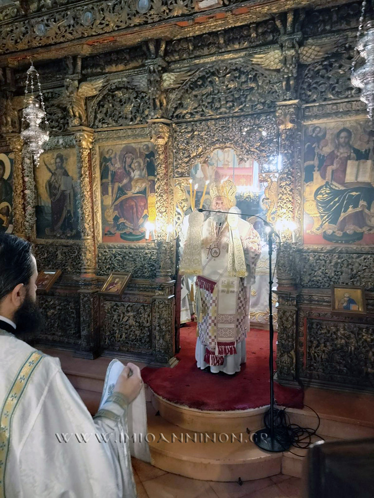 53072883348 40e69bc997 b