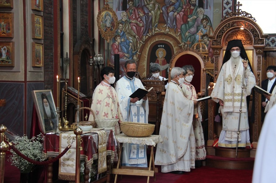 52241963833 8b7e6667d1 k 1024x683