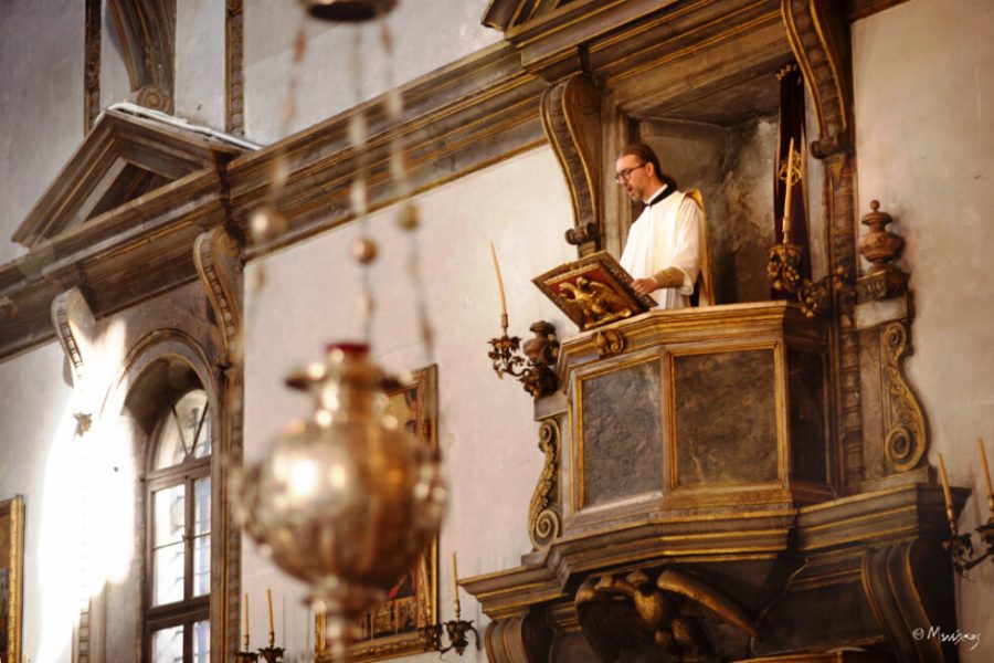 Vissarion 7201 f 980x654