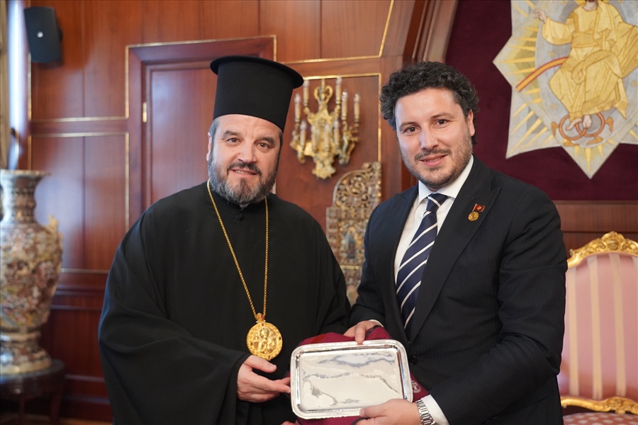 DSC07144 αντίγραφο