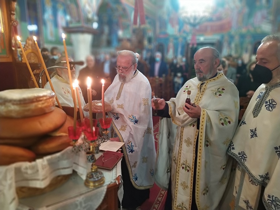 IMG 20211110 183440 Αντιγραφή