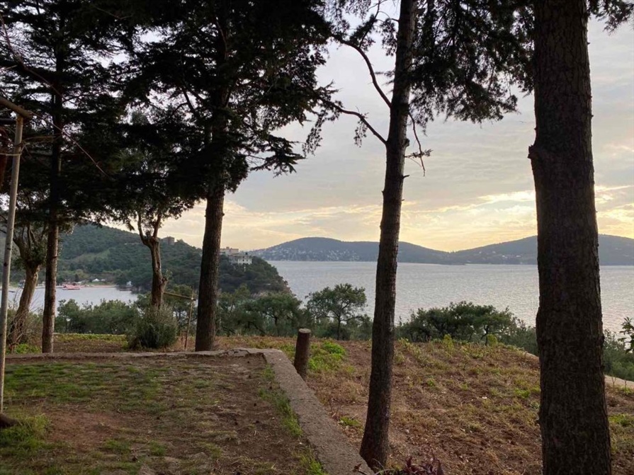 265937095 6488944391177028 7954107040612097461 n 1024x768