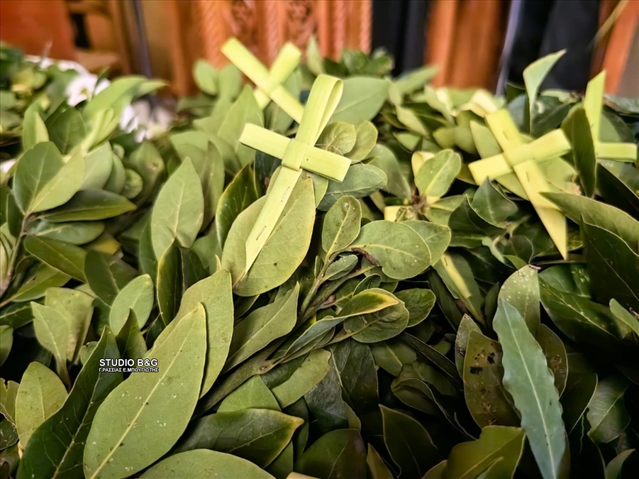 42b9e025 d782 4eed a6c3 eda529888009 new