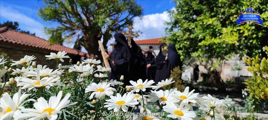 IMG 20250328 131359 Αντιγραφή