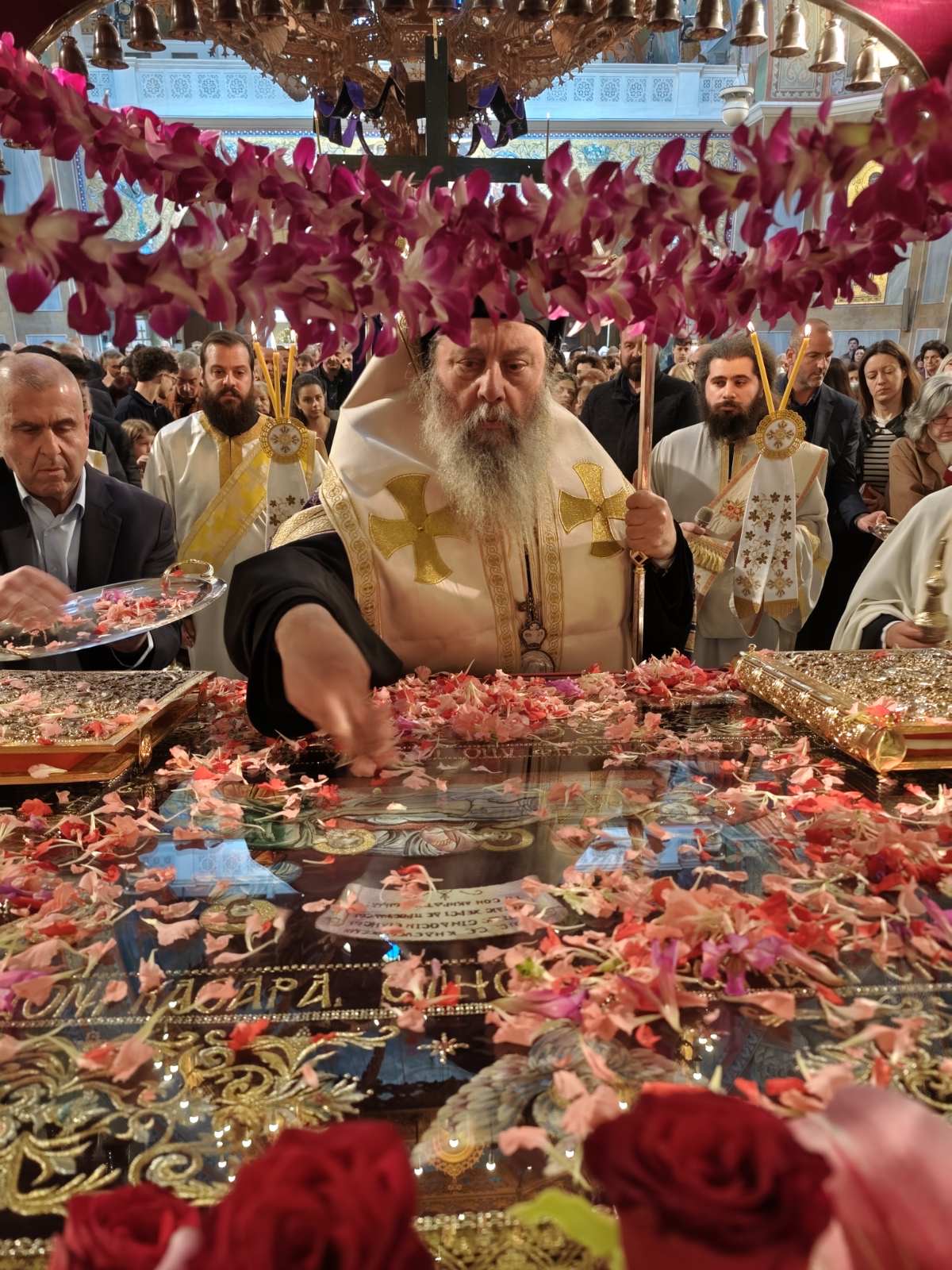 IMG 0264 ντιγραφή