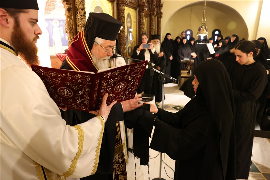 M.Fokidos m.koures0531